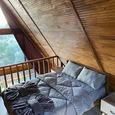 Cool Villa